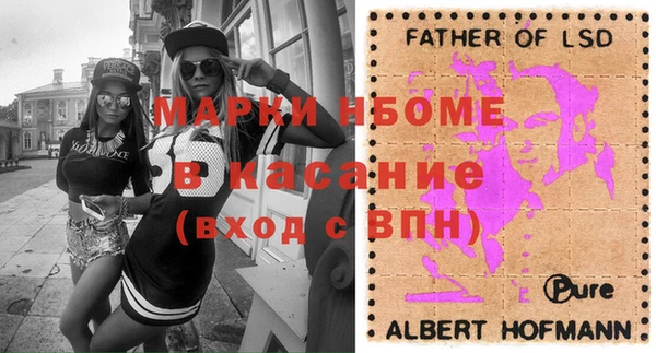 стафф Осташков