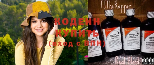 крисы Осинники