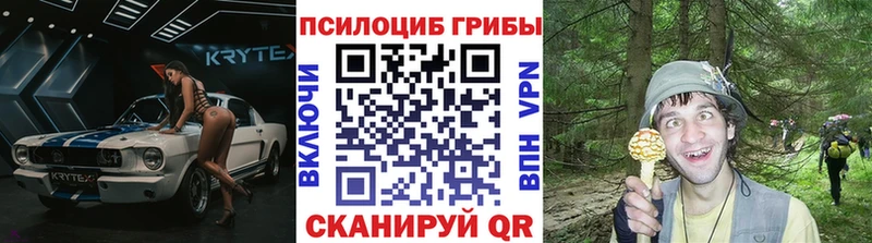 hydra онион  Каргополь  Галлюциногенные грибы мицелий 